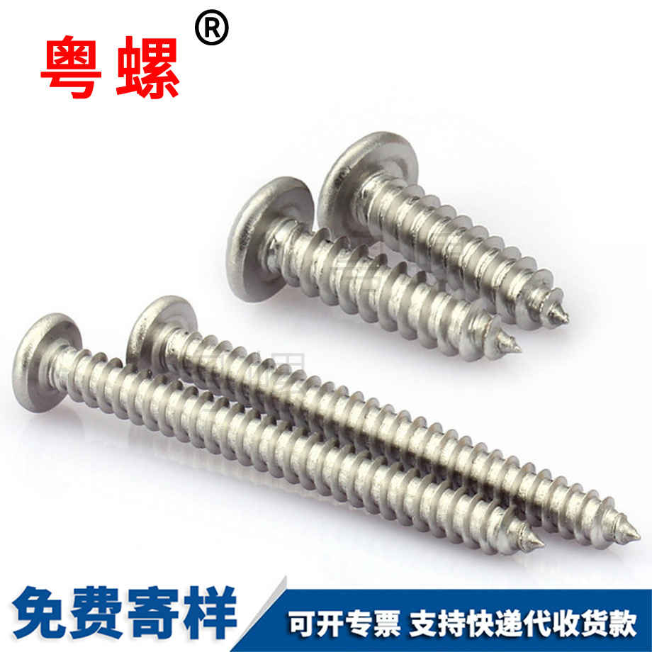 十字盤頭自攻螺絲釘 十字盤頭自攻螺絲釘