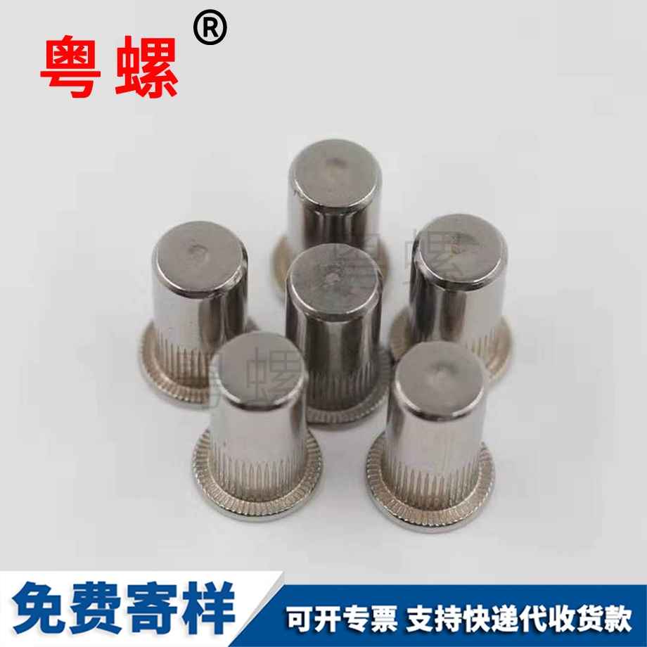 大小沉頭鉚螺帽 大小沉頭鉚螺帽