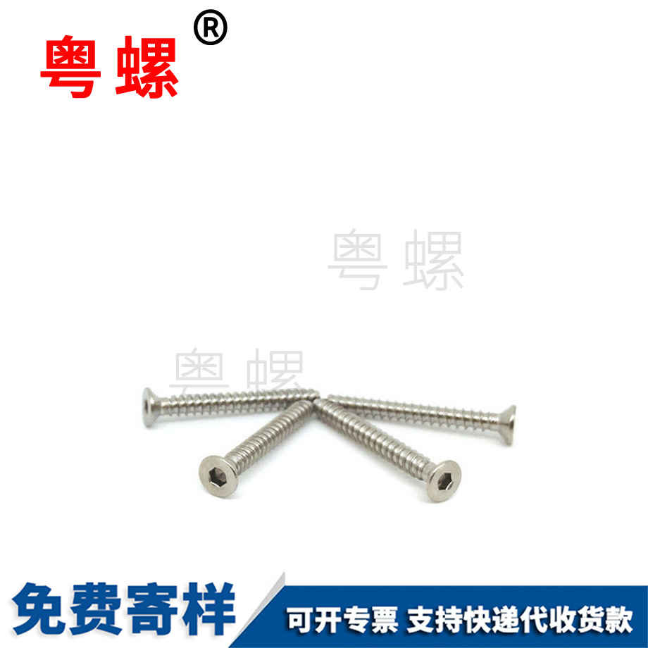 盤頭尖尾 盤頭尖尾