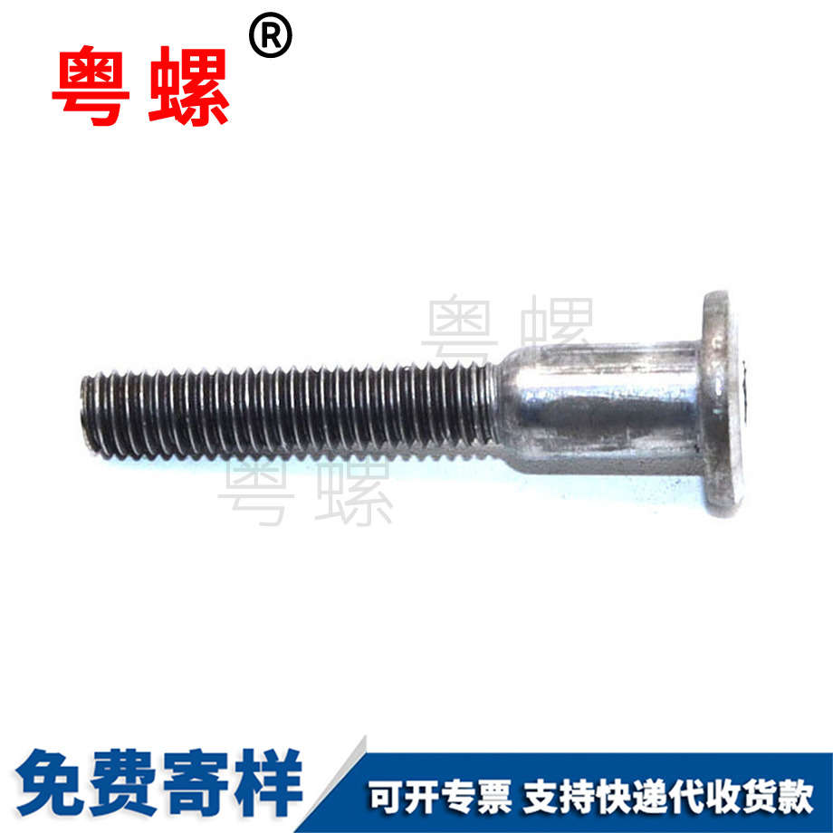 非標平頭內六角螺栓 非標平頭內六角螺栓