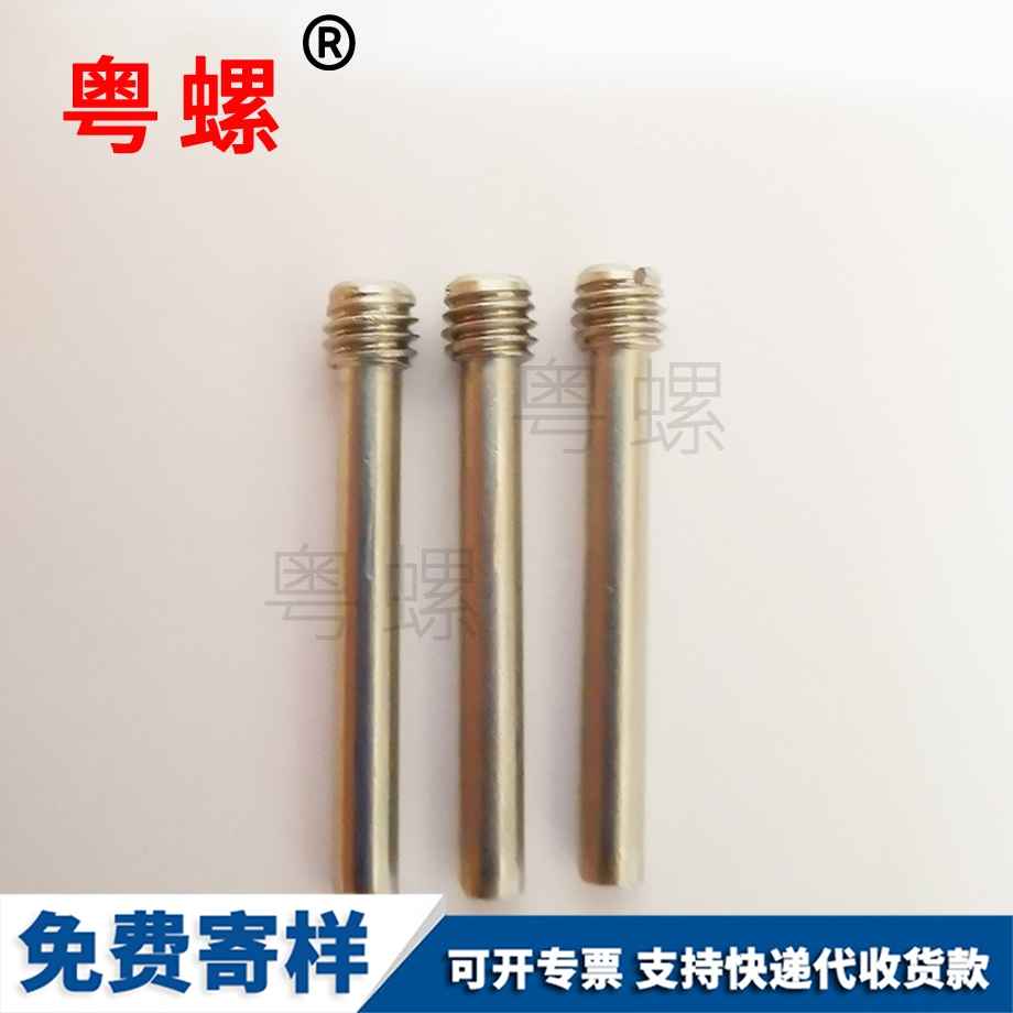 西雙版納薄頭螺絲 西雙版納薄頭螺絲