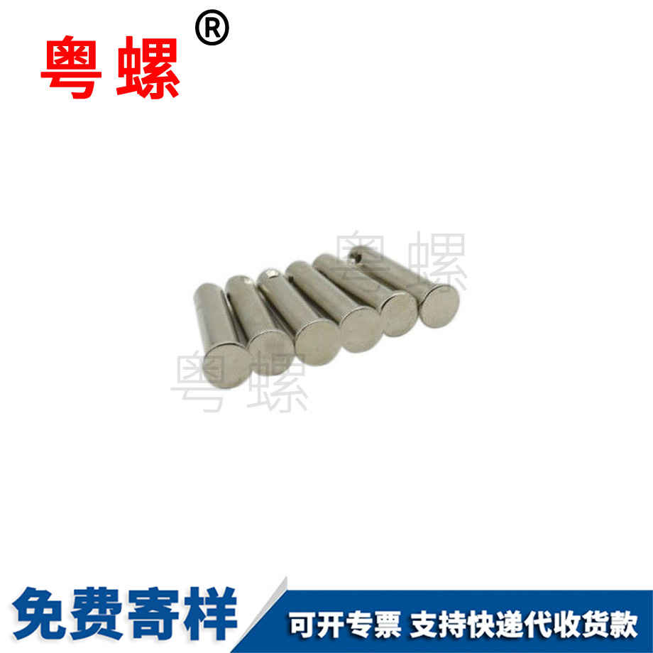 平頭圓柱銷(xiāo)軸 平頭圓柱銷(xiāo)軸