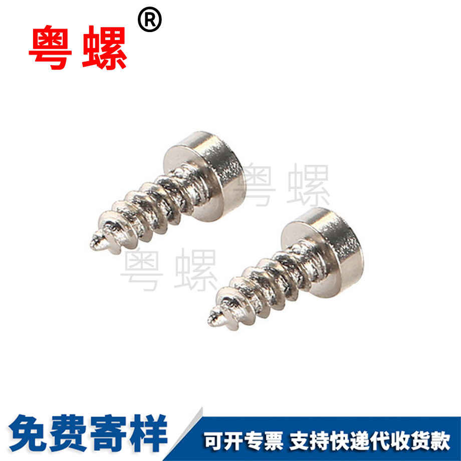 大扁頭鉆尾螺絲 大扁頭鉆尾螺絲