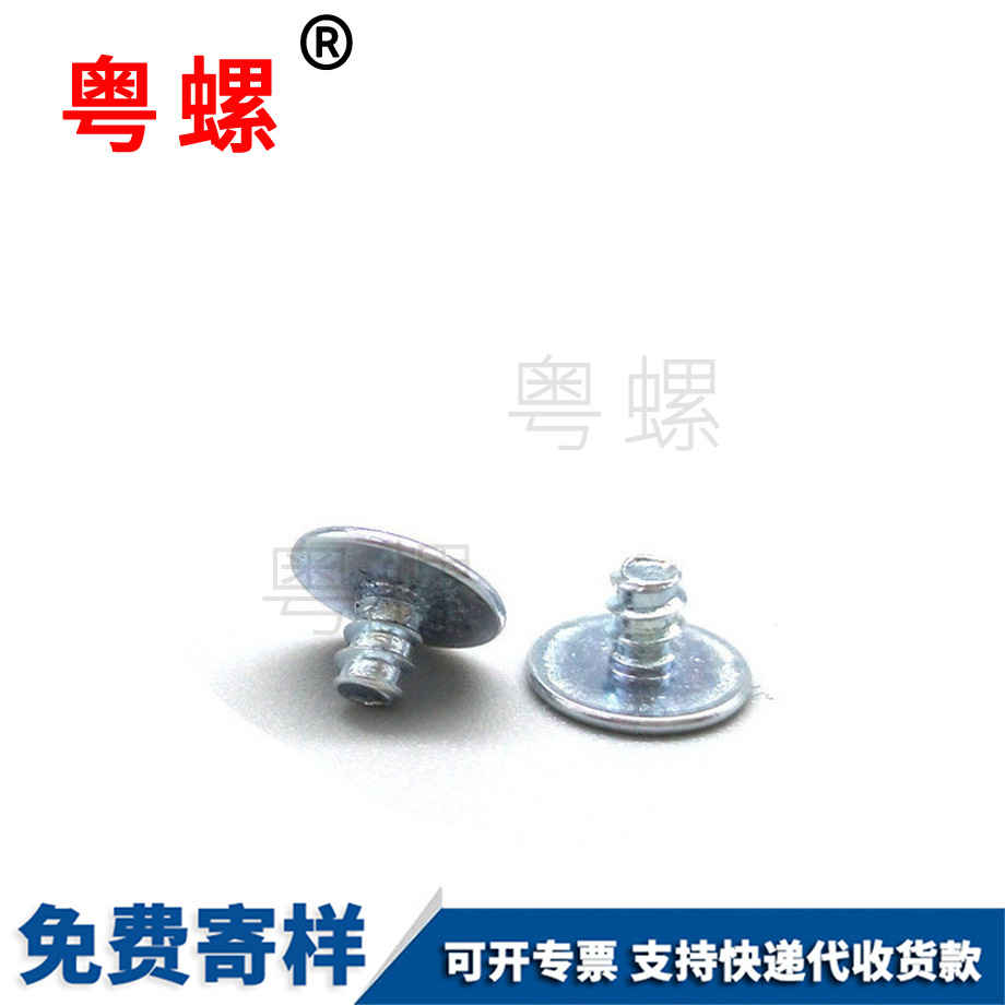 迪慶非標迪慶電子螺絲 迪慶非標迪慶電子螺絲