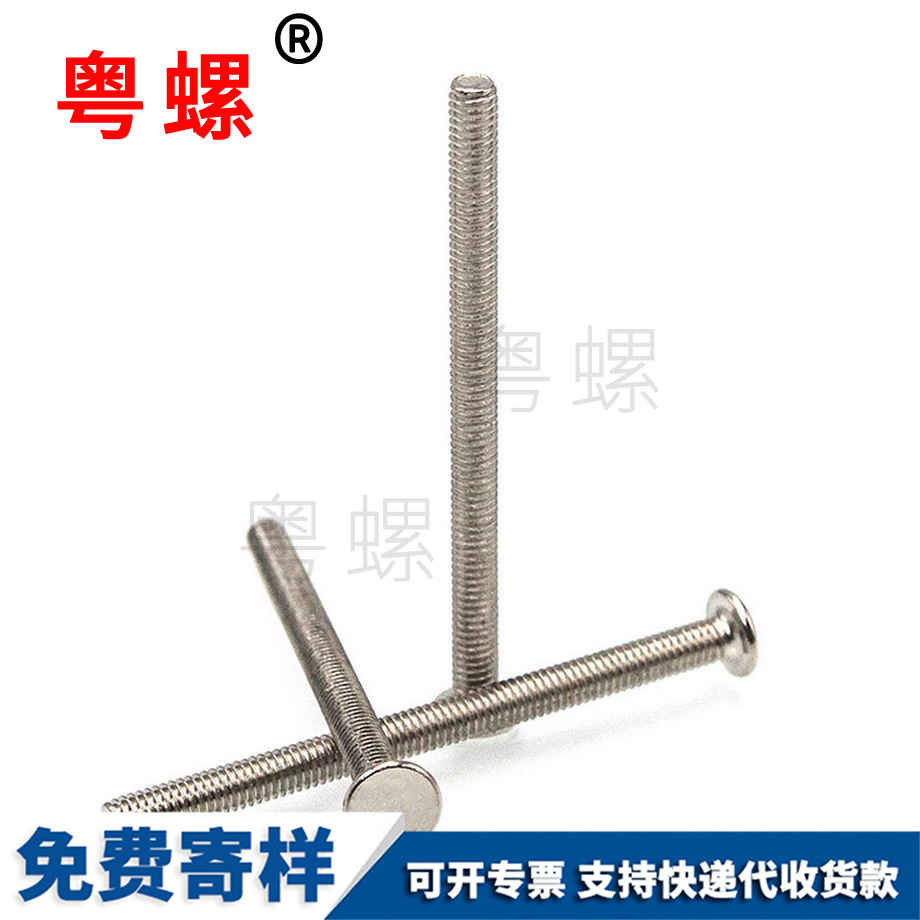 定做光面扁頭梁平螺絲釘