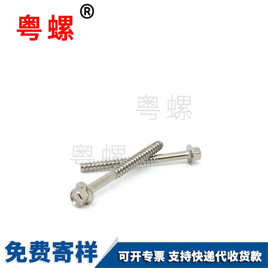 邯鄲邯鄲帶墊邯鄲自攻螺絲 邯鄲邯鄲帶墊邯鄲自攻螺絲