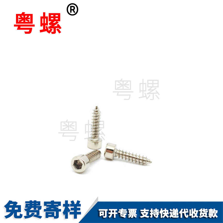 鍍鎳圓柱頭內(nèi)六角西雙版納尖尾自攻