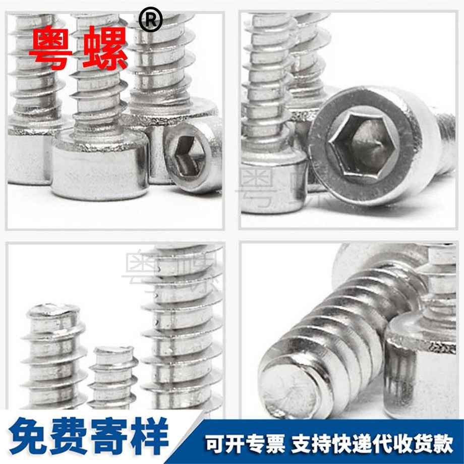 牡丹江內(nèi)六角牡丹江平尾自攻牡丹江螺絲釘 牡丹江內(nèi)六角牡丹江平尾自攻牡丹江螺絲釘