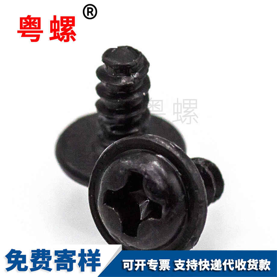 楚雄帶墊自攻 楚雄帶墊自攻