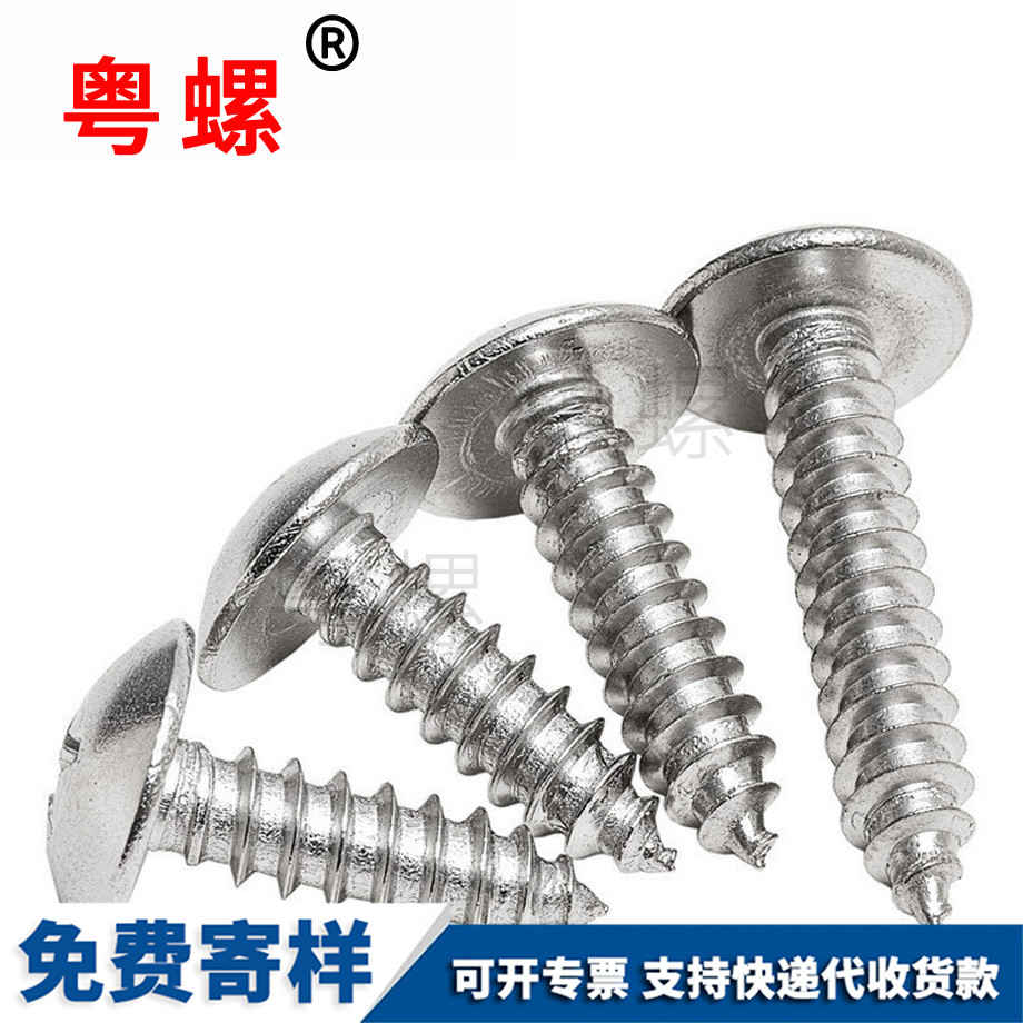 迪慶大扁頭自攻迪慶螺絲釘 迪慶大扁頭自攻迪慶螺絲釘