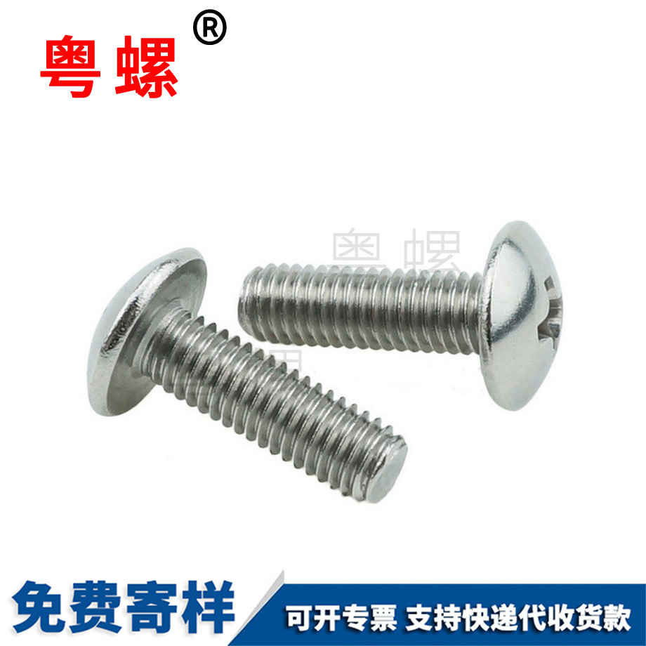 西雙版納大扁頭螺絲 西雙版納大扁頭螺絲