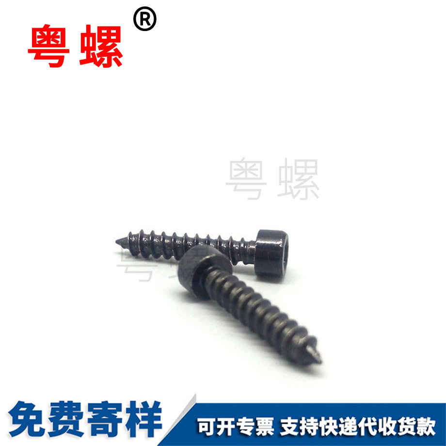 楚雄楚雄內(nèi)楚雄六角楚雄自攻螺絲 楚雄楚雄內(nèi)楚雄六角楚雄自攻螺絲