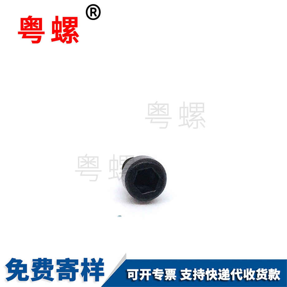 生產(chǎn)杯頭梅花海西自攻螺絲