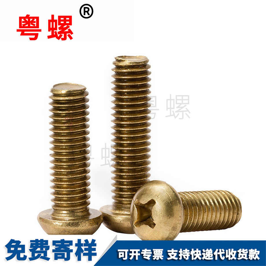 生產(chǎn)迪慶銅螺絲
