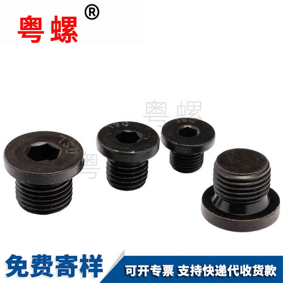 訂制內(nèi)六角法蘭面迪慶堵頭