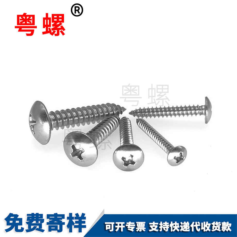 十字楚雄楚雄大扁頭楚雄自攻螺絲 十字楚雄楚雄大扁頭楚雄自攻螺絲