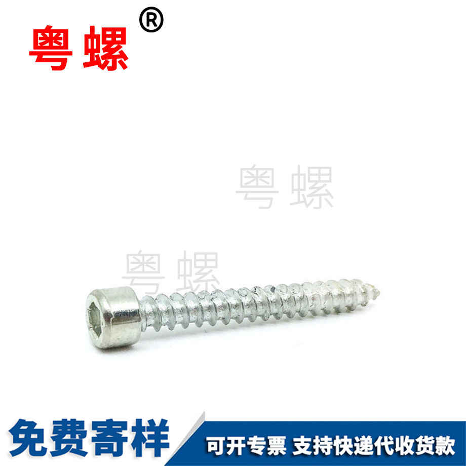 供應(yīng)杯頭梅花秦皇島自攻螺絲